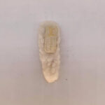 Ikat Rambut Karet Wanita Motif Kelinci Lucu Aksesoris Rambut Wanita - Srunchie - Gambar 18